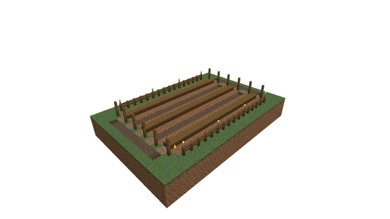 Vineyard