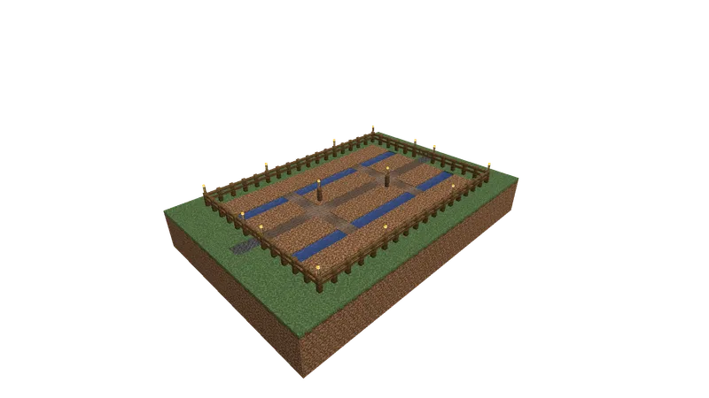 Wheat Field