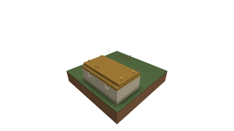 Large House