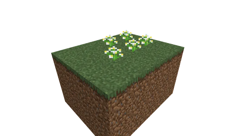 Flower Field
