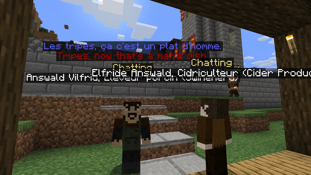 Listen to the villagers discussing their job, life or simply the weather.
